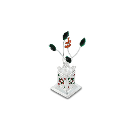 Elegant silver Tulsi plant, perfect for use in daily worship and devotion