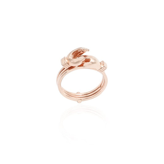 Close-up of a silver ring with a delicate gold rose wrap, symbolizing love and affection.
