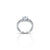 White American Diamond Studded Silver Ring