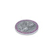 Silver Coin with Lakshmi-Ganesha Design and Decorative Stones Border