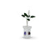 Elegant silver Tulsi plant with colorful gemstones, bringing positivity and spiritual energy to any space