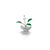 Elegant silver Tulsi plant, perfect for bringing calm, harmony, and positive energy to your home.