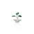 Bring Divine Peace to Your Home with Our Silver Tulsi Plant