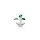 Bring Divine Peace to Your Home with Our Silver Tulsi Plant