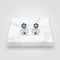 Artistic Blue Stone Earring Design