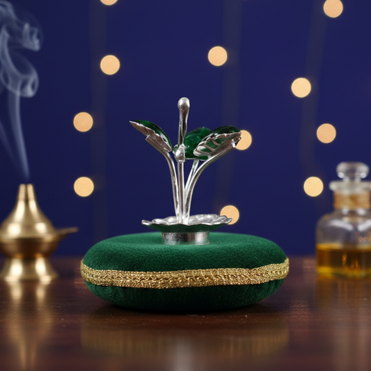 Bring Divine Peace to Your Home with Our Silver Tulsi Plant