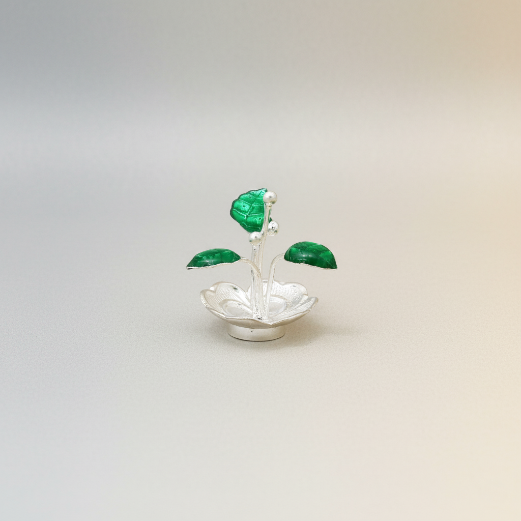 Bring Divine Peace to Your Home with Our Silver Tulsi Plant