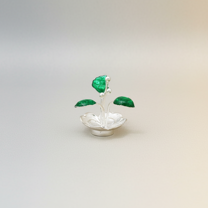 Bring Divine Peace to Your Home with Our Silver Tulsi Plant