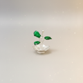 Bring Divine Peace to Your Home with Our Silver Tulsi Plant