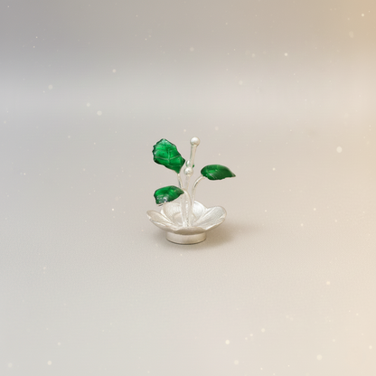 Bring Divine Peace to Your Home with Our Silver Tulsi Plant