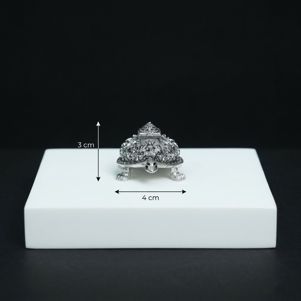 Silver Turtle Very Lucky In Vastu, Attract Wealth