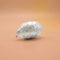 Silver Auspicious Marriage Nariyal