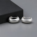 Silver Curved Line Design Earrings for Girls