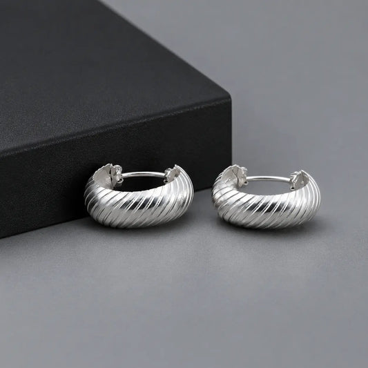 Silver Curved Line Design Earrings for Girls