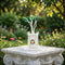 Silver Traditional Religious Tulsi