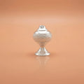 Silver Worship On Home Puja Item