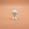 Silver Worship On Home Puja Item