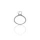 925 Silver Dazzling Delight Ring for Women